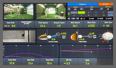 スィングデータ